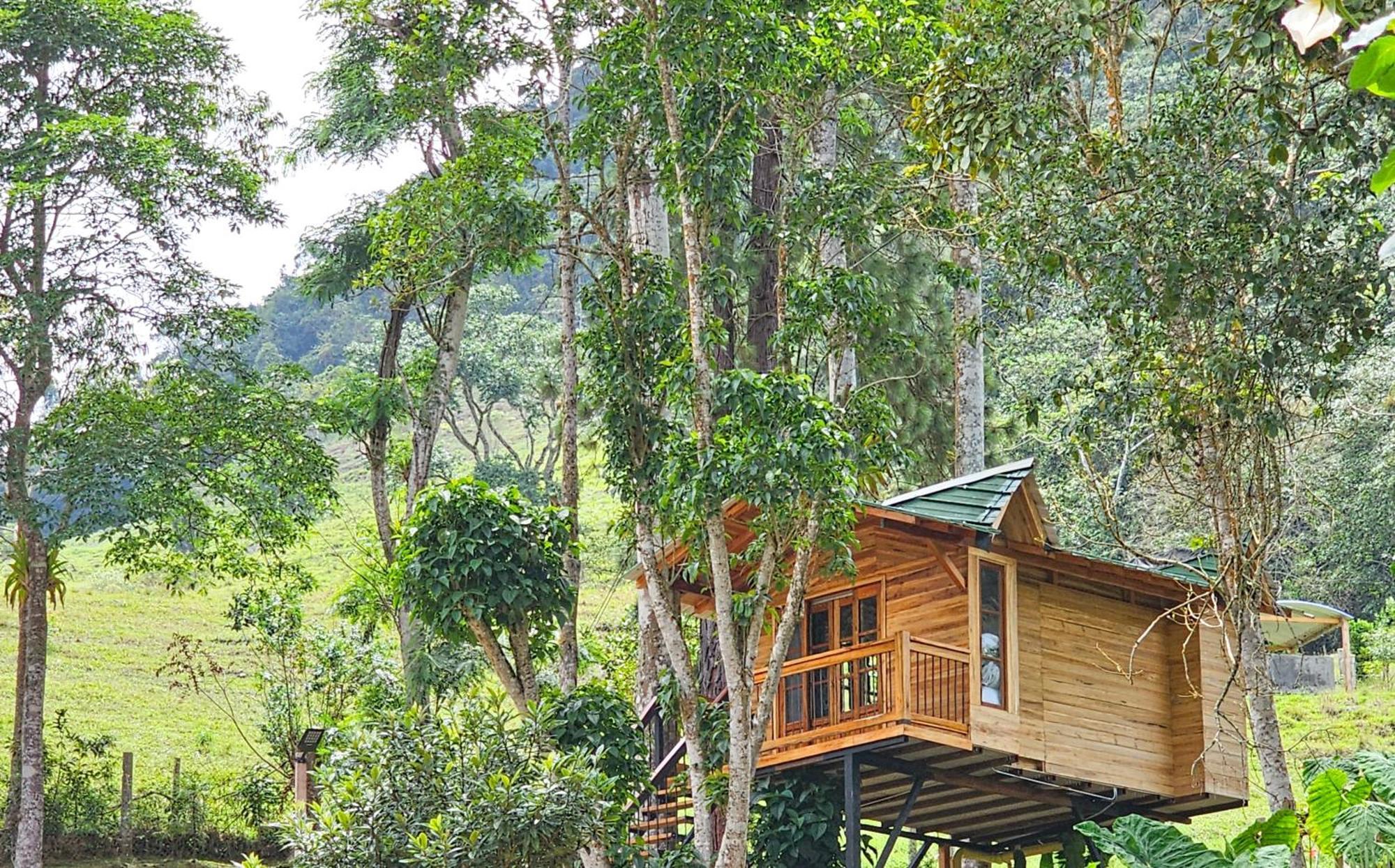 Hotel Cattaleya Eco Yumbo Exterior foto